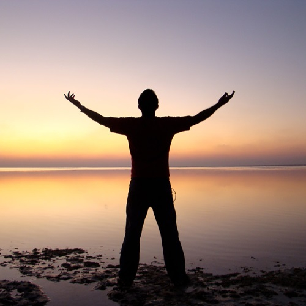 Find your Freedom