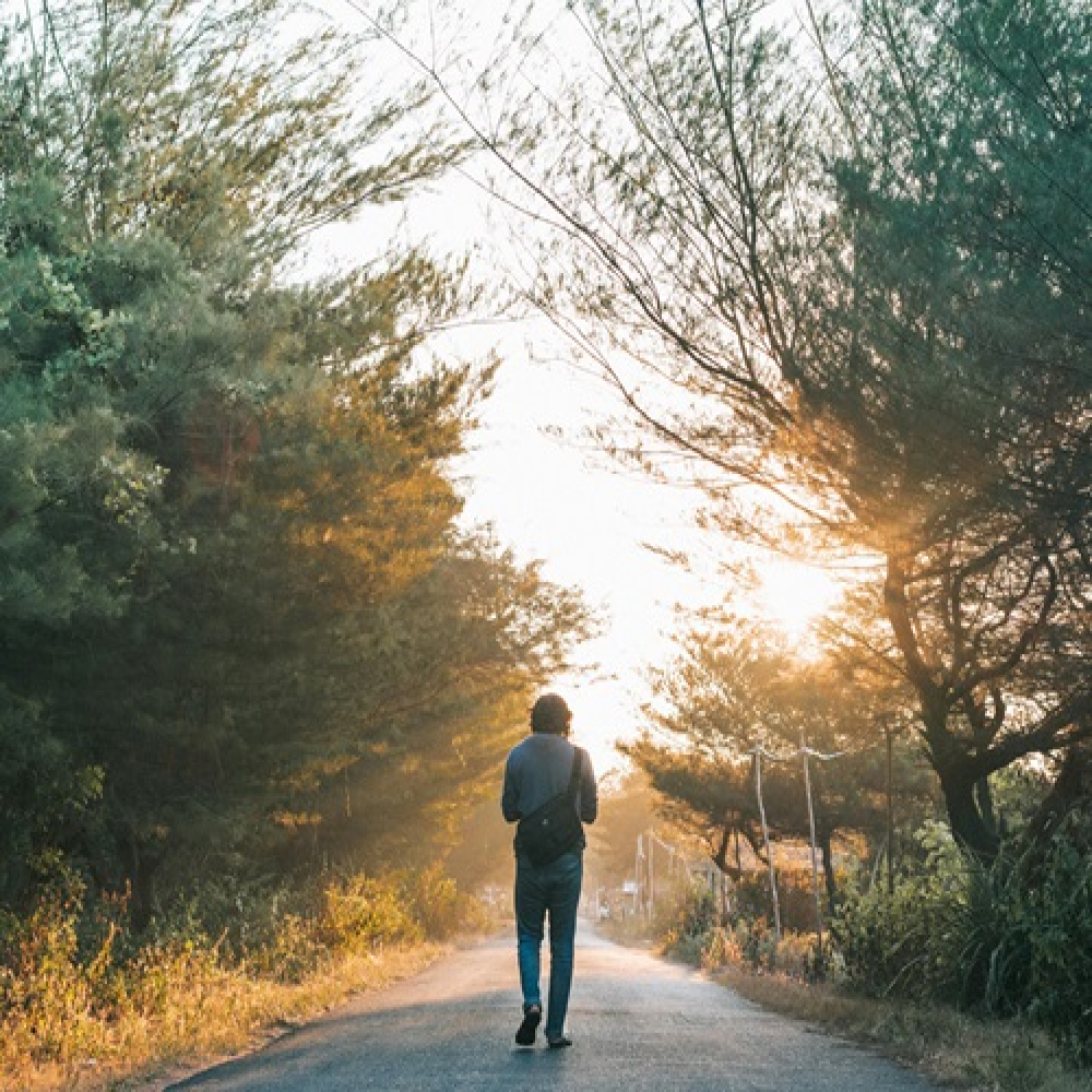 Ever wondered why you feel so good in nature?
