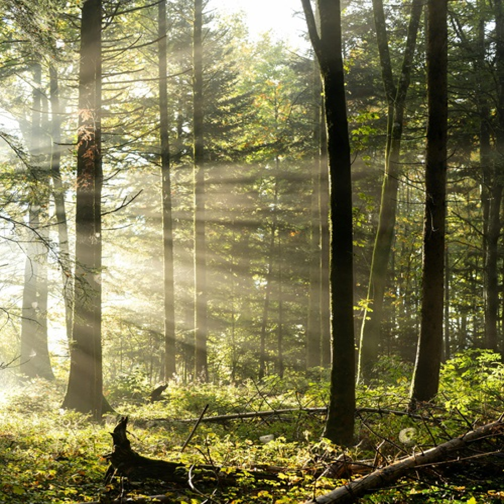 How do I improve my mental health?