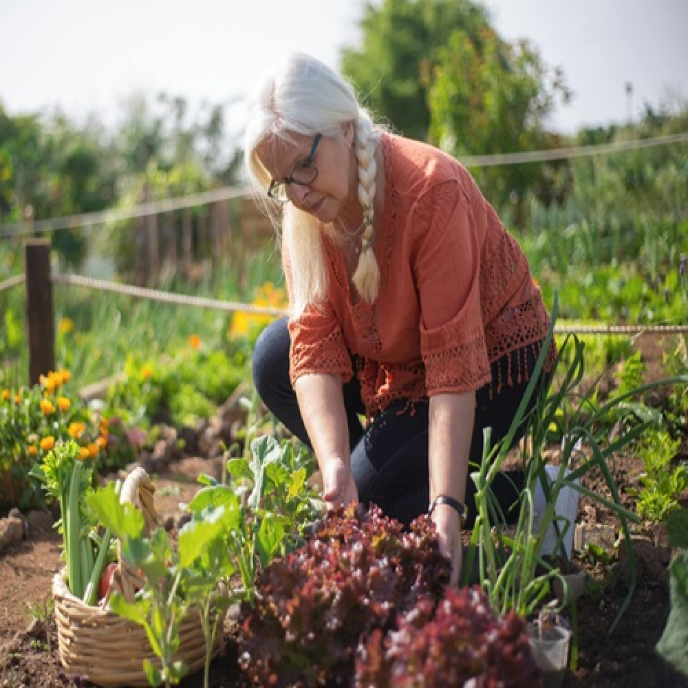 Economic Uncertainty and Ethical Living: Navigating the Cost-of-Living Crisis with Spiritual Wisdom