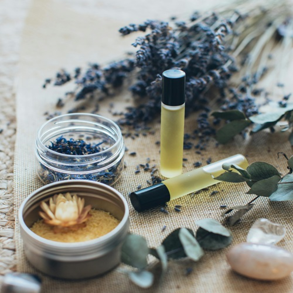 Wise Women and Their Herbal Remedies: A Journey into Nature's Medicine