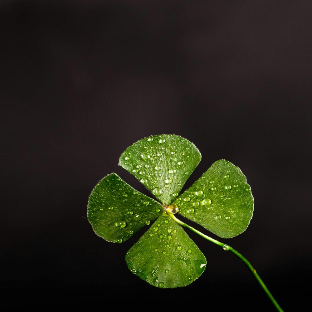 Making your luck stick