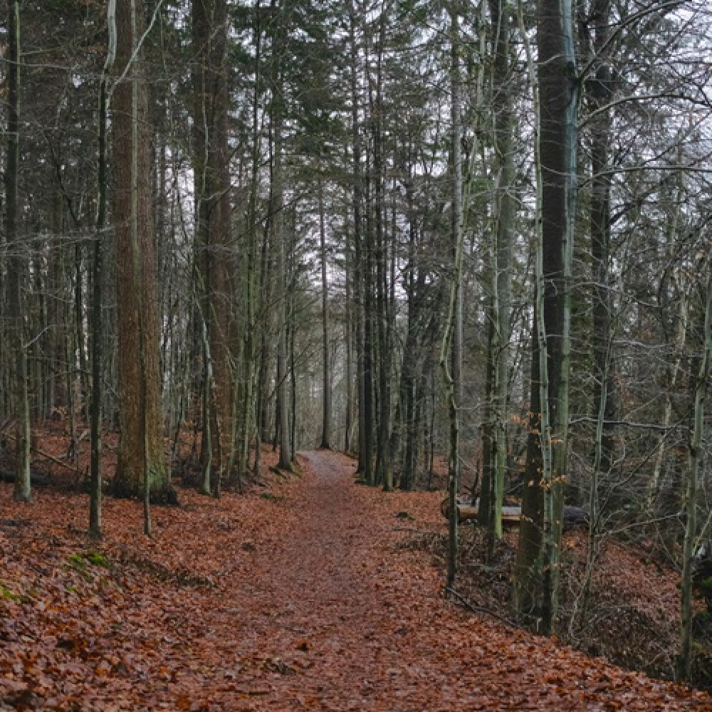 Nature as a Healer: Spiritual Lessons from the Earth