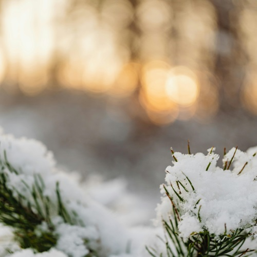 A Spiritual Christmas: Finding Meaning Beyond the Festivities