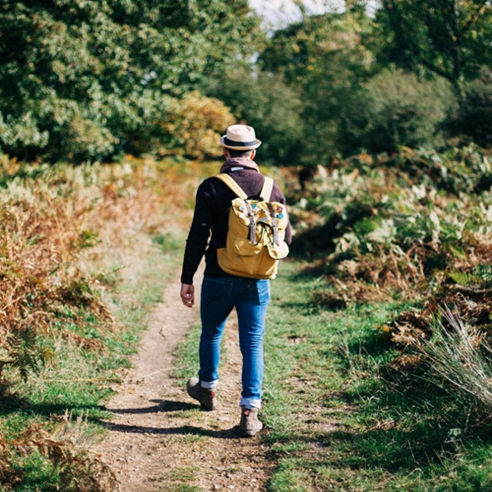 The Healing Power of Nature: Finding Inner Peace in Silence and Solitude
