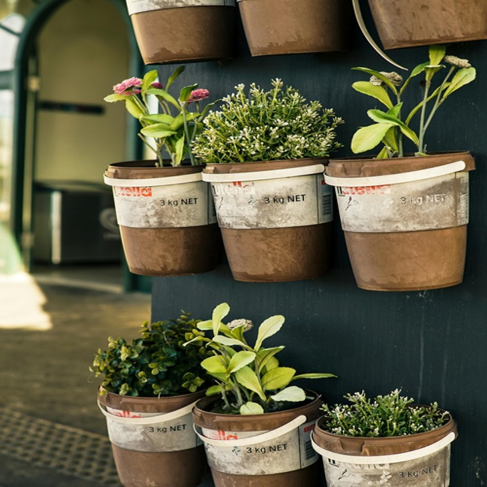 How to Create a Magickal Garden on Your Windowsill
