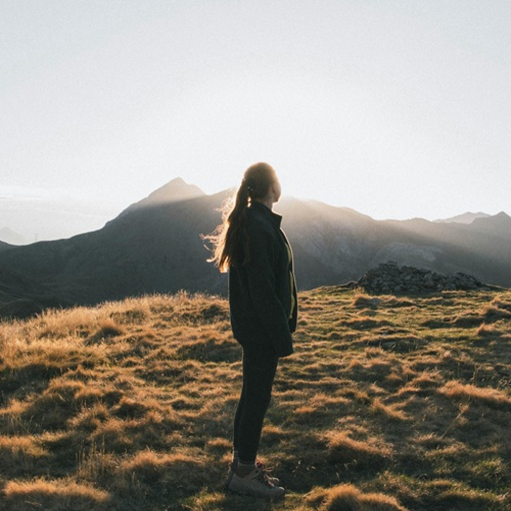 Listening to the Quiet: How Stillness Opens the Door to Insight