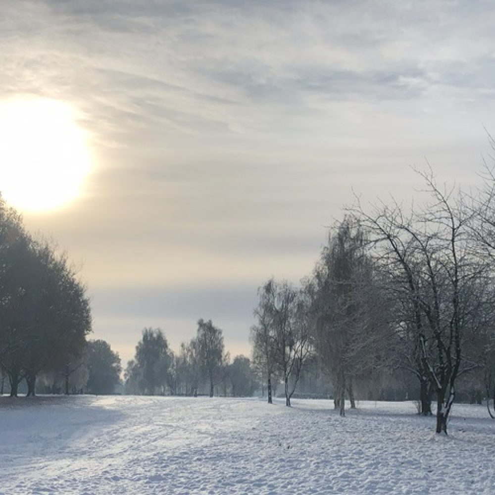 How to Celebrate the Winter Solstice: A Gentle Green Witch Guide