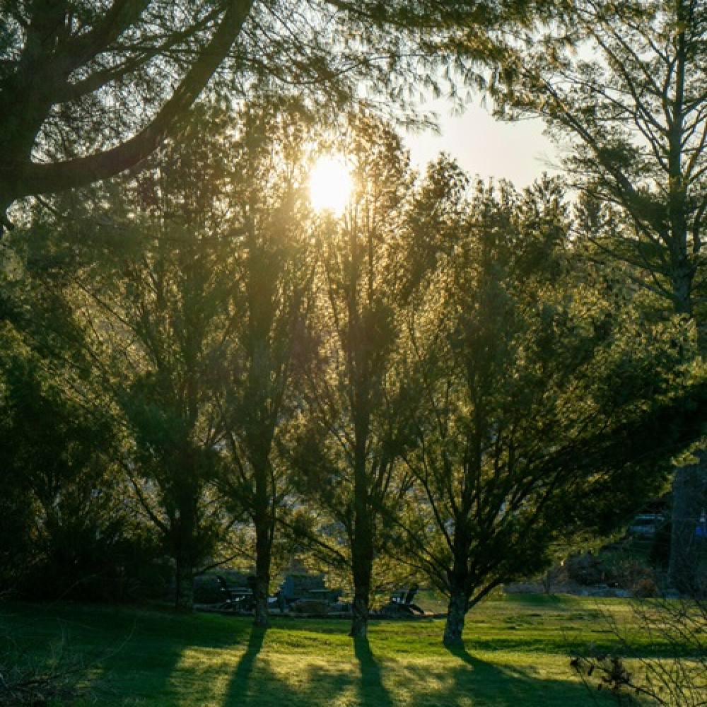 When Overthinking Takes Over: Learning to Trust Inner Knowing