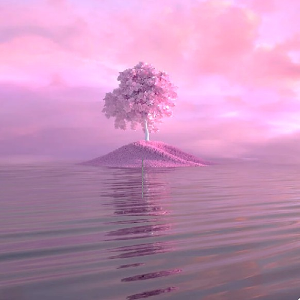 Self-Care Routine Series – Colour Your World