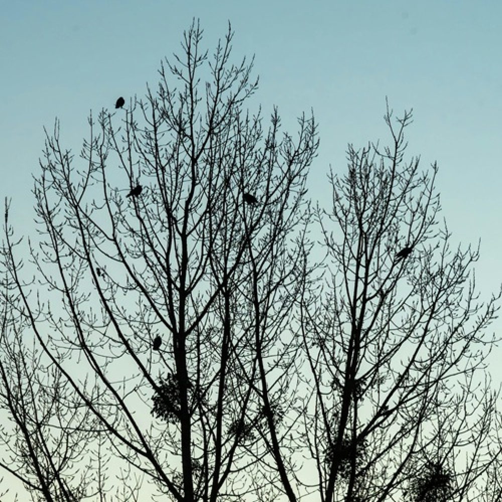 How Stillness Helps You Hear Your Inner Voice