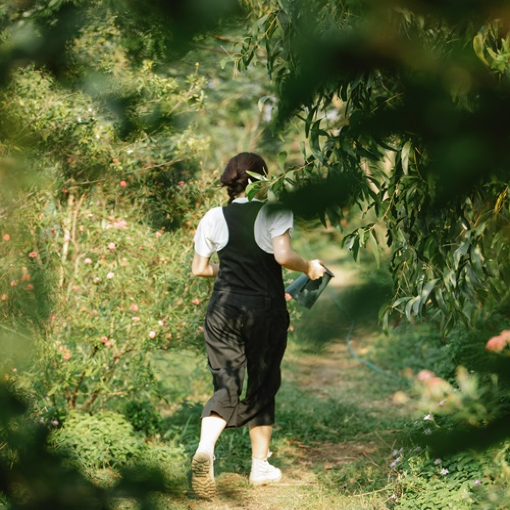 How Walking in Nature Helps When Life Feels Heavy